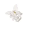 SOHO Nou, Haarclip 2 SOHO Nou, Haarclip -Goldwell store https media prod eu 1.mirakl.net SOURCE a32c0d14c3d54935a0ed6f77ca08e035