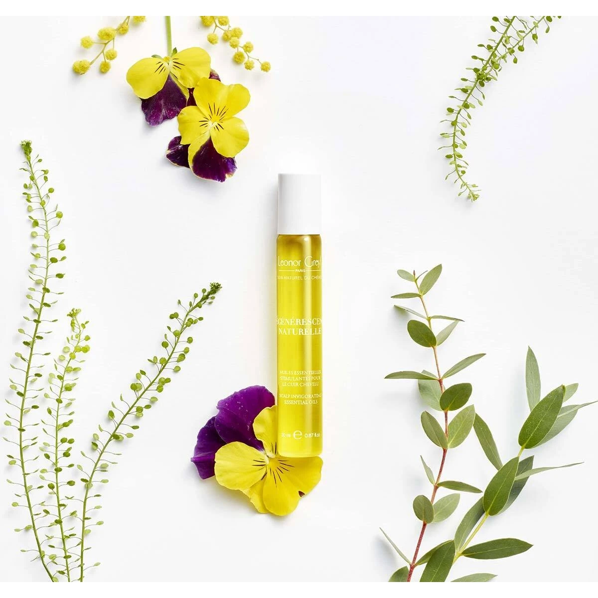 Régénérescence Naturelle - Afbeelding 3